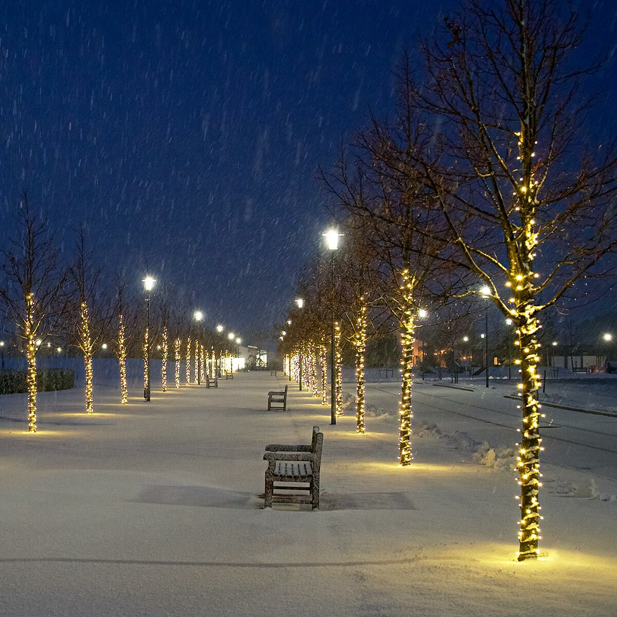 10m-100m tilslutningsbar lyskæde med LED-lys